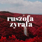 ruszofazyrafa