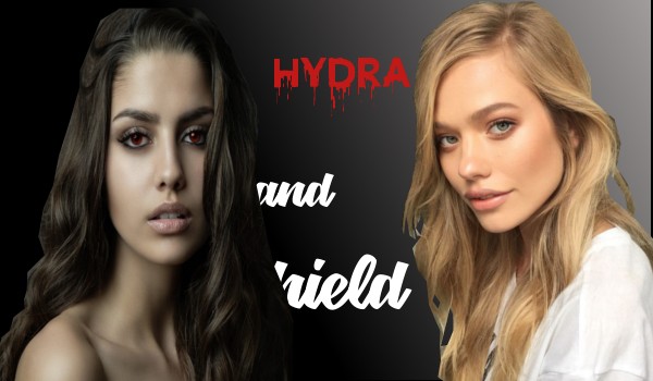 Hydra and Shield~One Shot