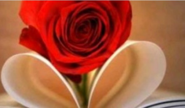 R.I.P. beautiful love #2 s2