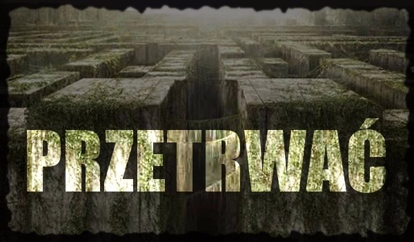 Przetrwać. #6