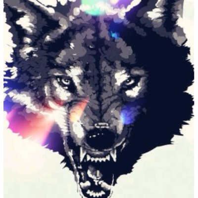 Black_Wolf_5