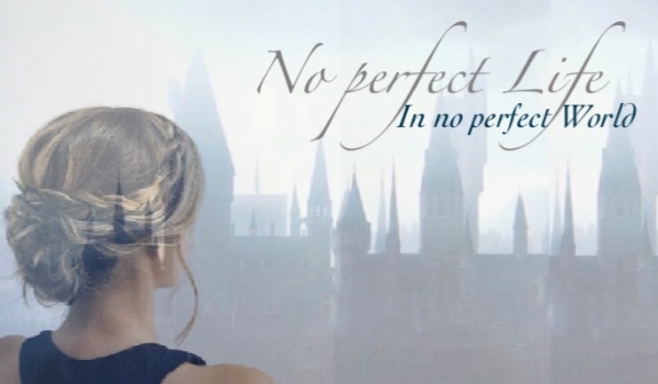 No perfect Life In No perfect World: #1
