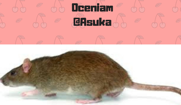 Oceniam profil @Asuka