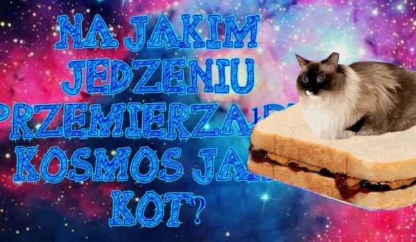 Na jakim jedzeniu przemierzasz kosmos jako kot?