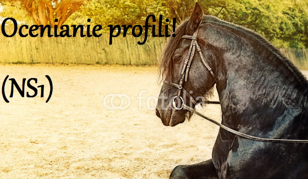 Ocenianie profili! ( NS1)