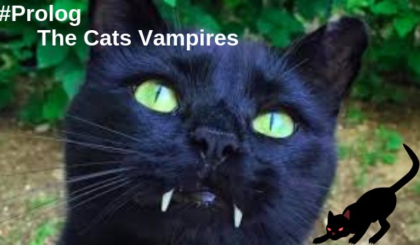 The Cats Vampires ~Prolog