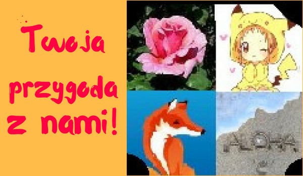 Twoja przygoda z nami! #5