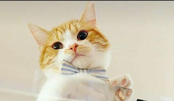 Makaron Shakaron… #4 (samotność)