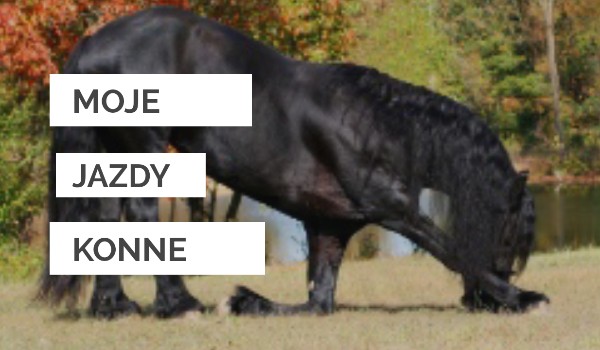 Moje Jazdy Konne#3