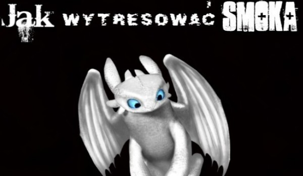 Jak wytresować smoka 7