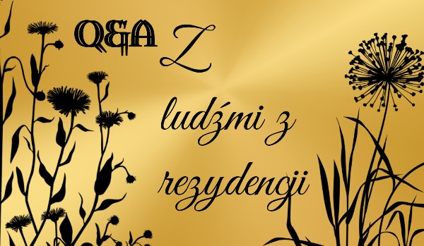 Q&A Z ludźmi z rezydencji #2