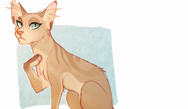 Kolejne moje postacie