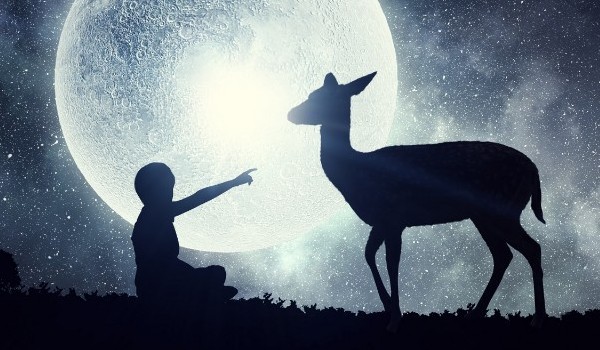 Tajemniczę Sny część 6