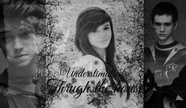 Understimatied trough the house #2