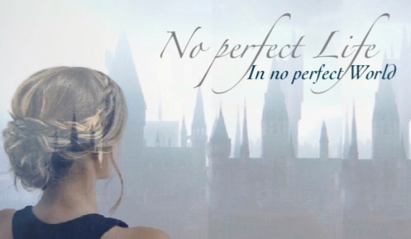 No perfect Life in No perfect World #0