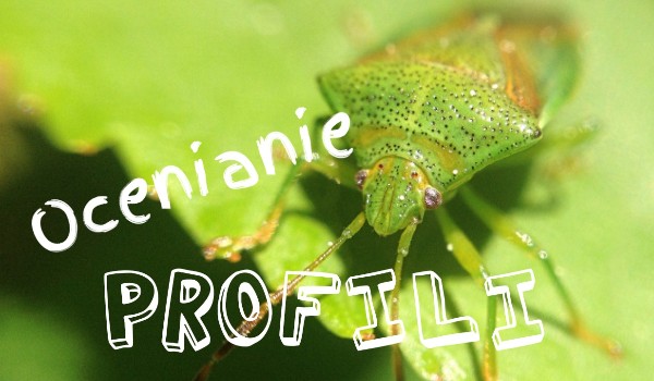 Ocenianie profili #3