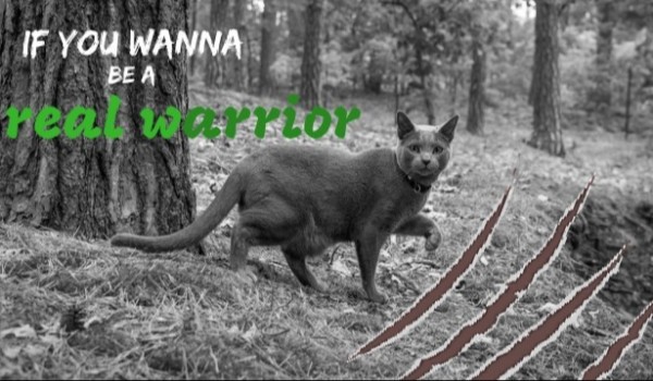 If you wanna be a real warrior #16