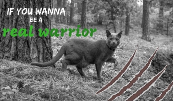If you wanna be a real warrior #15