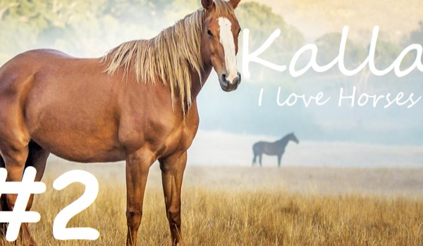 Kalla – I love Horses #2