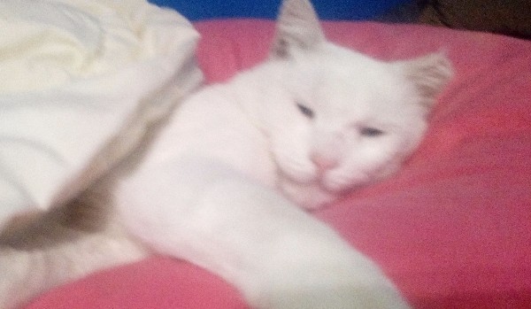 Krótki quiz o globalizacji