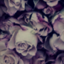 Last_hope_