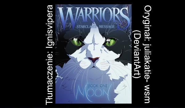 Wojownicy: Wiadomość Klanu Gwiazdy ~komiks~ {2}