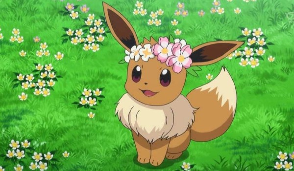 Nie poddawaj się! #3