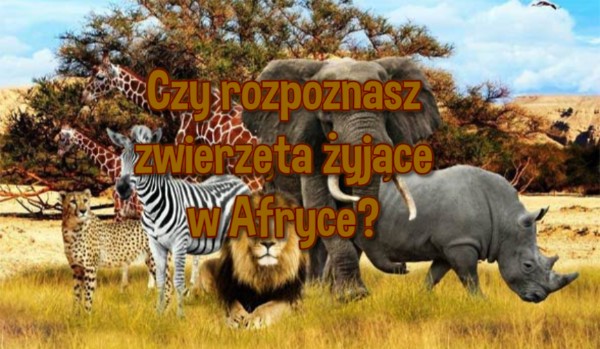 Czy rozpoznasz zwierzęta żyjące w Afryce?