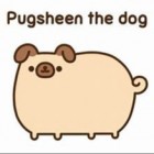 Pusheen_the_Dog