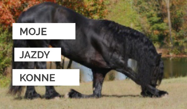 Moje jazdy konne#4