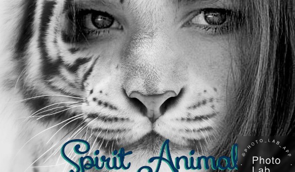 Spirit animals