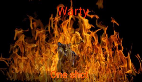 Warriorsowe one shoty – Warty