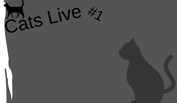 The Cats Live #1