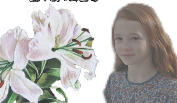 Sklep do pokoju kotka