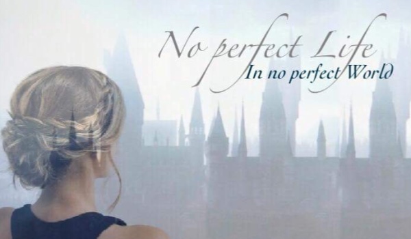 No perfect Life In No perfect World: #4