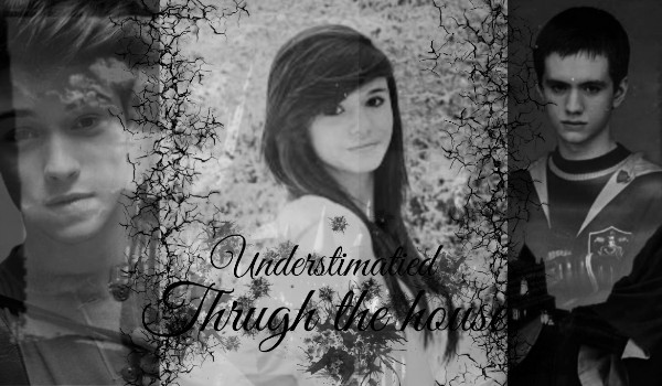 Understimatied trough the house #0,5