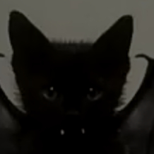 Aranqua