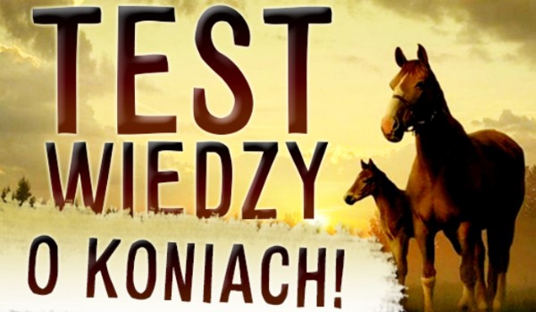 Test wiedzy o koniach