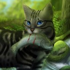 FanClub.Lsniaca-Gwiazda