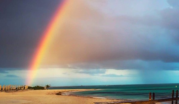Na ile % jesteś mądry