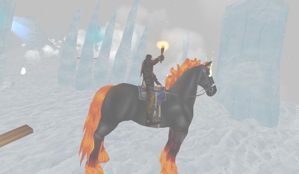 Konkurs dla fanów sso – WYNIKI