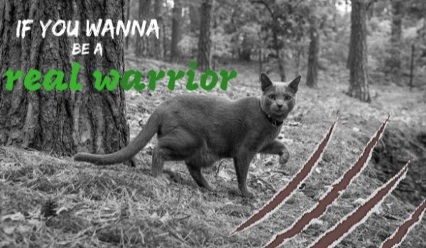 If you wanna be a real warrior #20