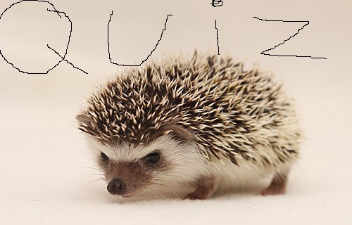 DOBRZE C: WSZYSTKO GUTEN!