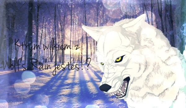 Którym wilkiem z Wolf’s Rain jesteś!