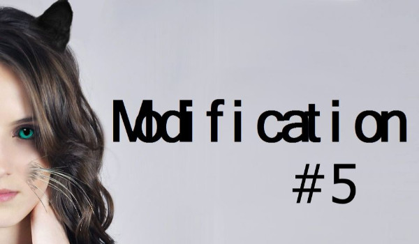 Modification #5