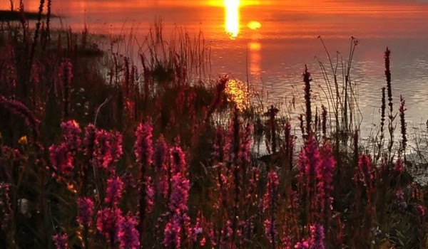 Kim jesteś w środku?