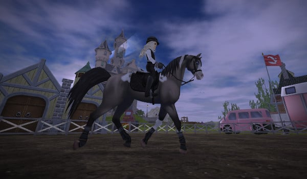 Zdjęcia mojego nowego konia.- Praca z ziemii