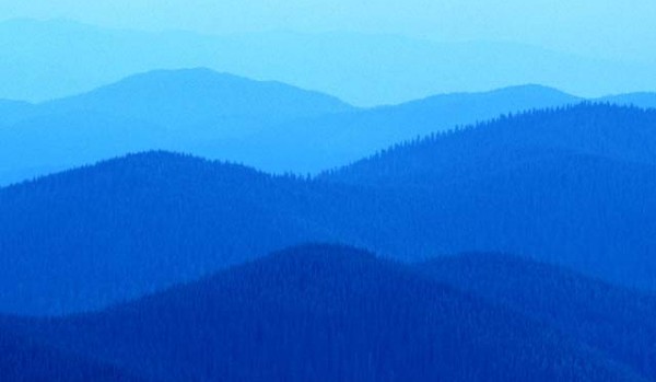 Test z Dramatu   Zemsta