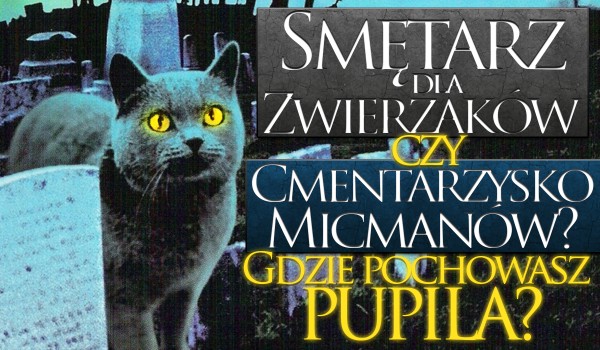 Smętarz dla zwierzaków czy Cmentarzysko Micmanów? Gdzie zostanie pochowany Twój pupil?