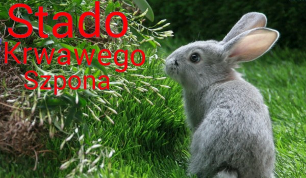 Stado krwawego szpona – prolog cz. 2